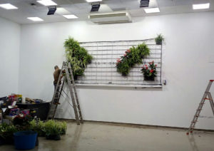 bolsas de fieltro vertiflor con plantas