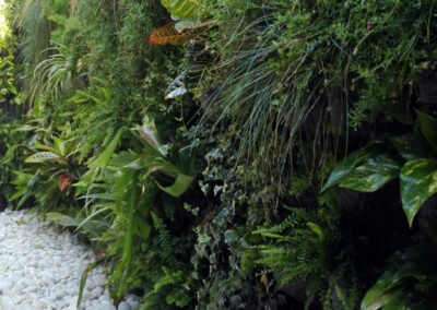 Spa interior con jardín vertical